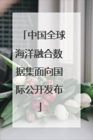中国全球海洋融合数据集面向国际公开发布